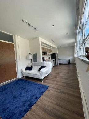 2BR Luxury Apt In The Heart of Kansas City